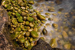 20180708-1050.jpg