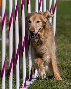 20230916-PVKC-1299.jpg