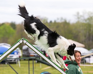 20160515-NEAT-0378.jpg