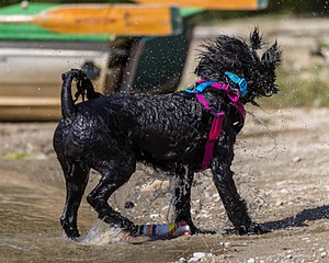 Penny Toby-Ann
