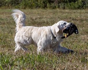 Piper Lanagan