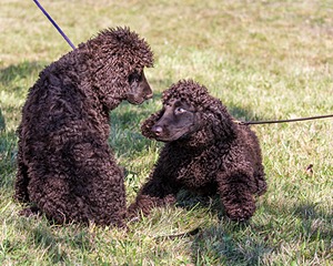 20190927-0215.jpg