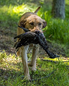 20220604-SHW-2032.jpg
