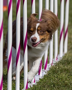 20230916-PVKC-1328.jpg