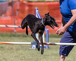 20200819-2419.jpg