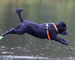 Rio Abbruzzese