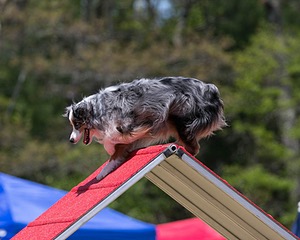 20150613-CCKC-0419.jpg
