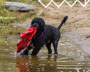 20210912-MWD-0159.jpg