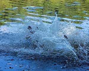 20220604-SHW-2326.jpg