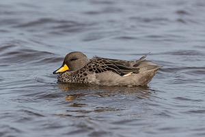 20191218-0812.jpg
