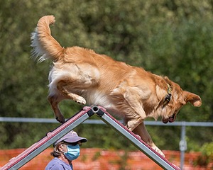 20200819-2234.jpg