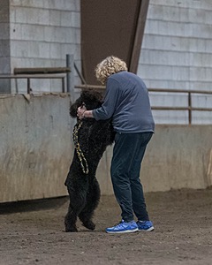 20190513-AG-0516.jpg