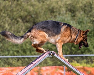 20200819-2217.jpg