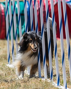 20160618-CCKC-1709.jpg