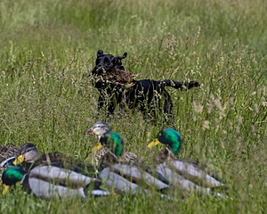 20210606-SEAL-1554.jpg
