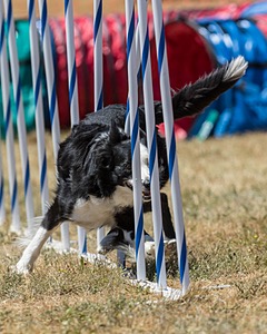 20160618-CCKC-1541.jpg
