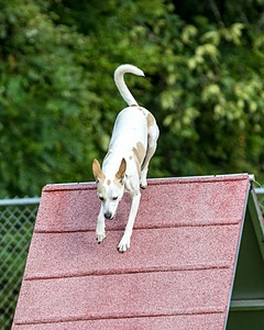20200819-0273.jpg