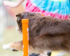 20150612-CCKC-0049.jpg