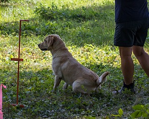 20200809-SHW-0003.jpg