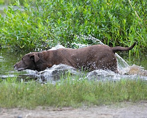 20130713-MHB2-0101.jpg