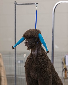 20190515-C-0028.jpg