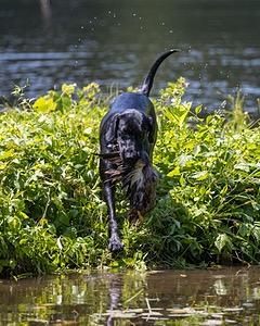 20210606-SEAW-1326.jpg