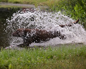 20130713-MHB2-0341.jpg