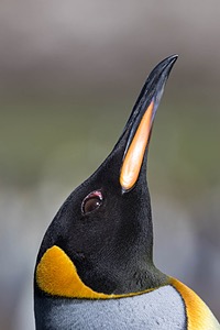 20191220-0141.jpg