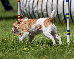 20170520-NEAT-1466.jpg