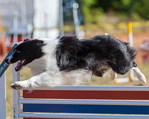 20160618-CCKC-0079.jpg
