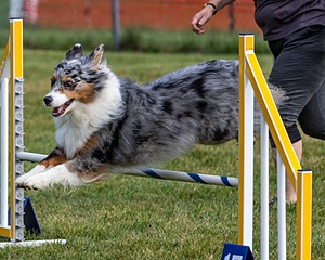 20200819-0212.jpg