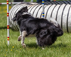 20170520-NEAT-1545.jpg