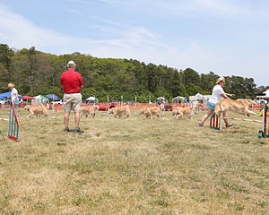 20150612-CCKCMC-0053.jpg