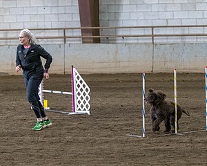 20190513-AG-0160.jpg