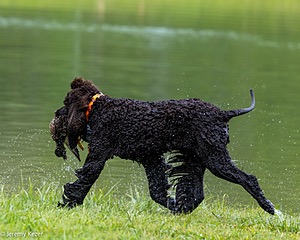20260516-WCW-0049.jpg