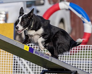 20230916-PVKC-1626.jpg