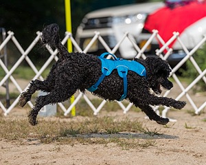 20210912-WWD-0187.jpg