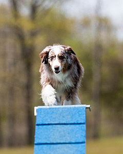 Quay Scribner