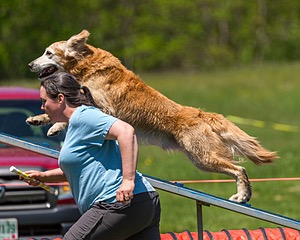 20170520-NEAT-1595.jpg