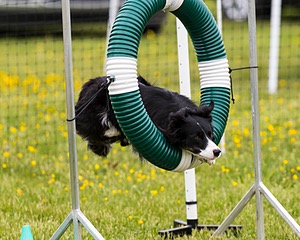20160515-NEAT-1046.jpg