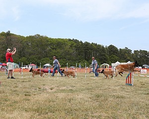 20150612-CCKCMC-0106.jpg