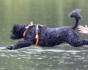 Rio Abbruzzese