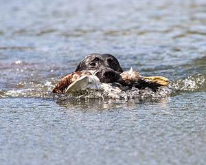 20160924-SHW-0085.jpg