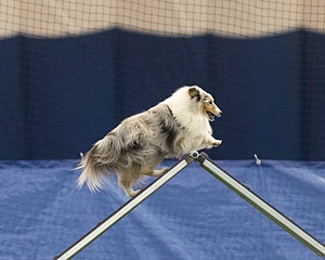 20150321-LEAP-1526.jpg