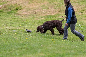 20190512-BD-0124.jpg