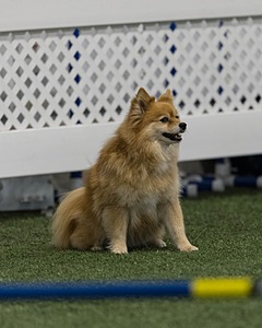 Ellie Dubyoski