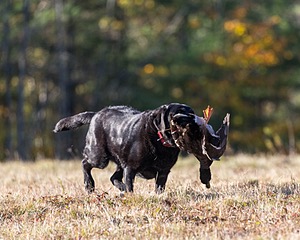 20201011-VetL-0116.jpg