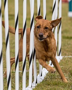 20190616-CCKC-1577.jpg