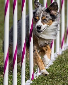 20230916-PVKC-1247.jpg