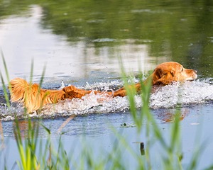 20160604-SEAW-1005.jpg